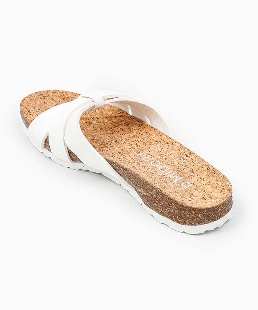 Puspa Slides