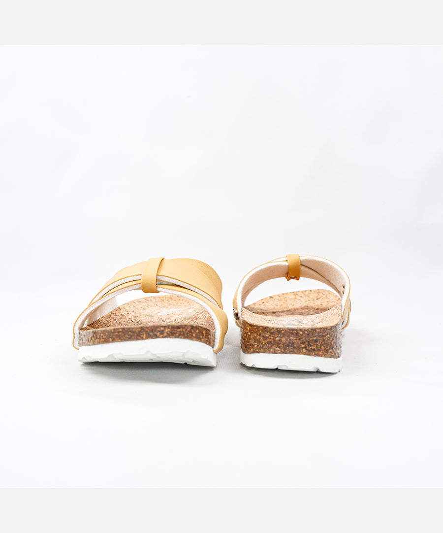 Puspa Slides