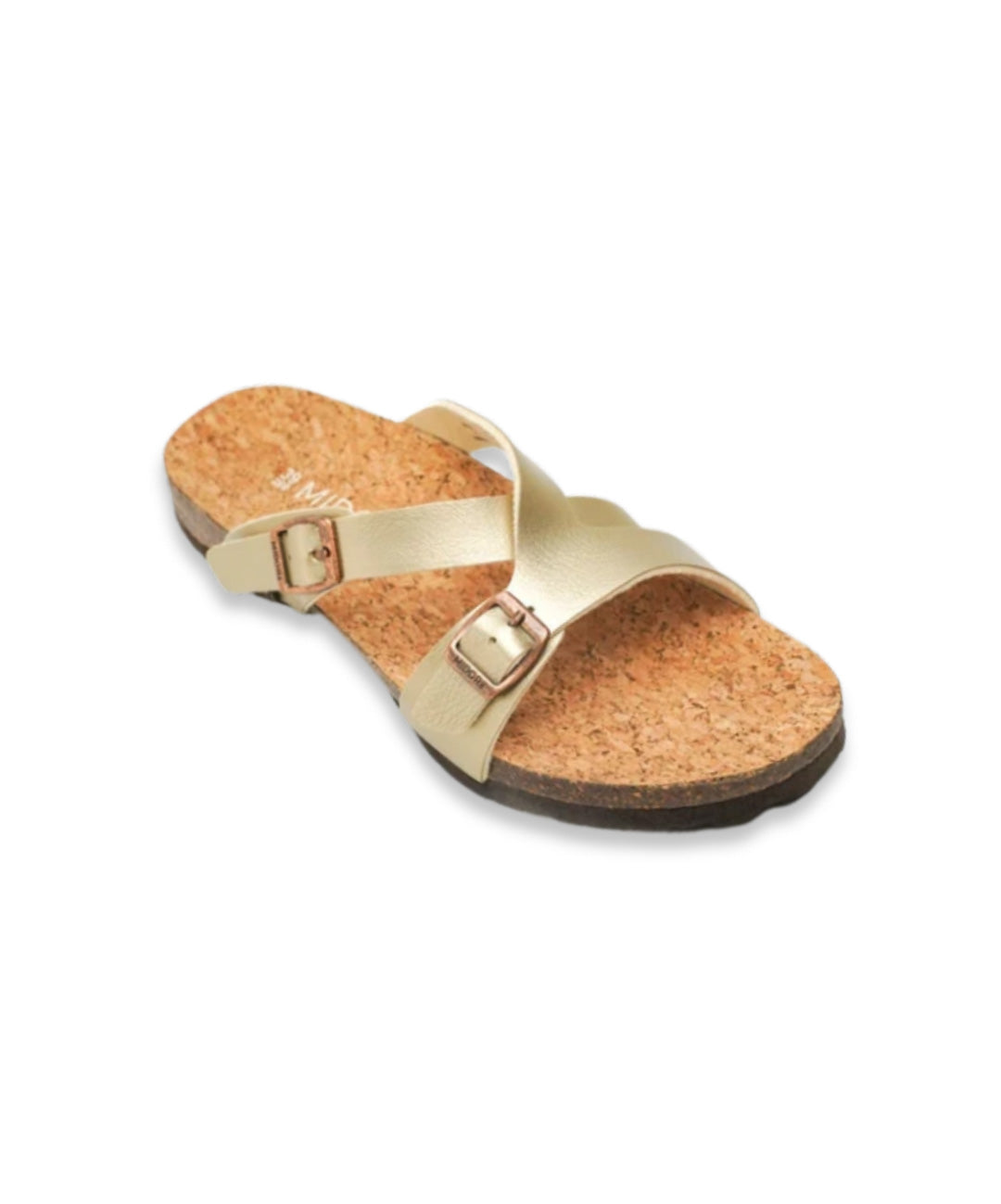 Tanna Slides