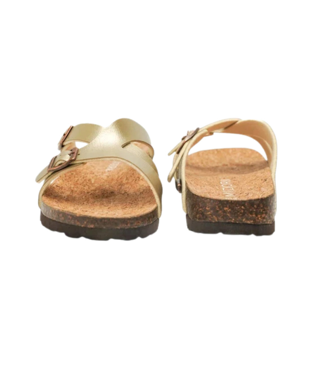 Tanna Slides