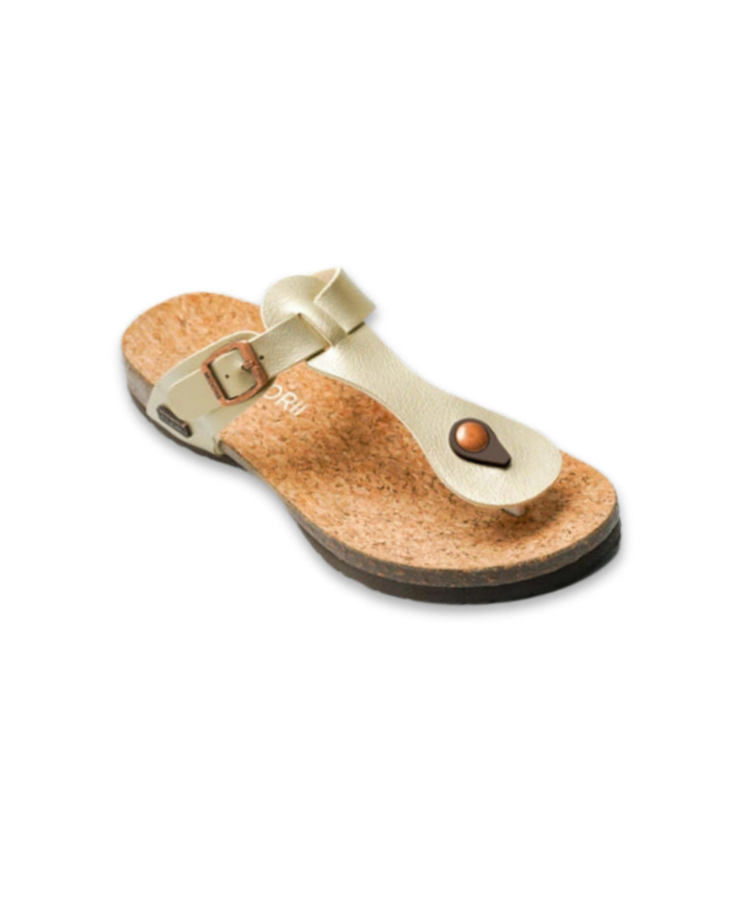 Cabrera Slides