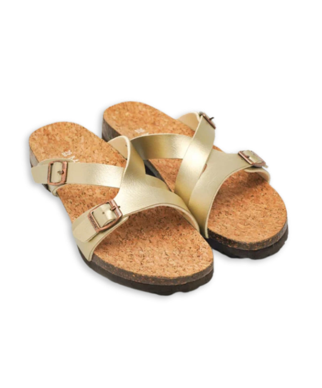 Tanna Slides