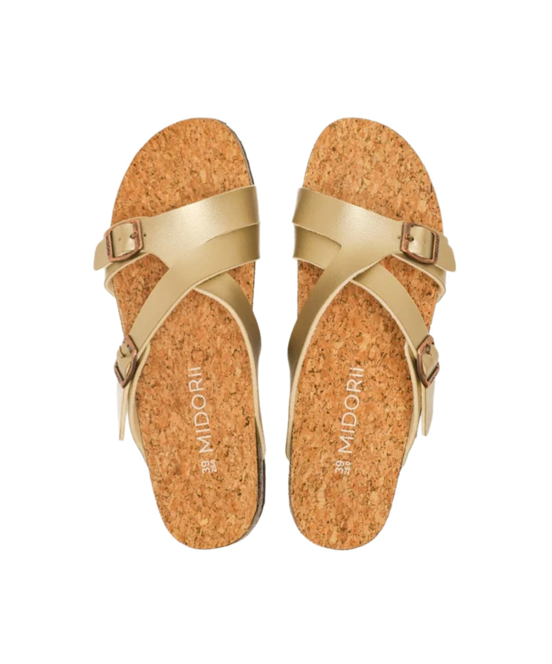 Tanna Slides