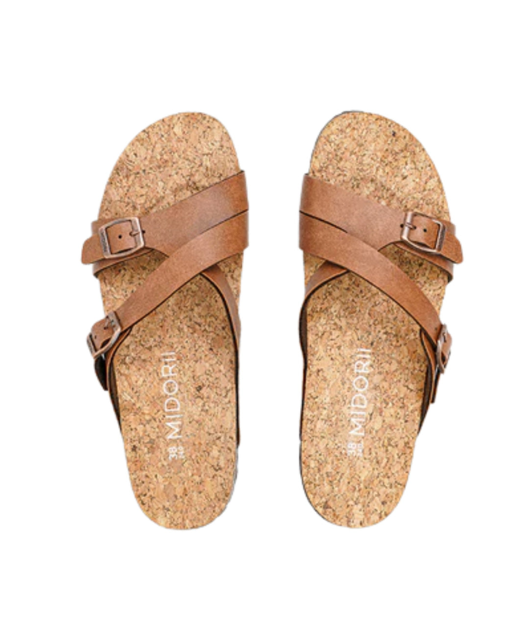 Tanna Slides